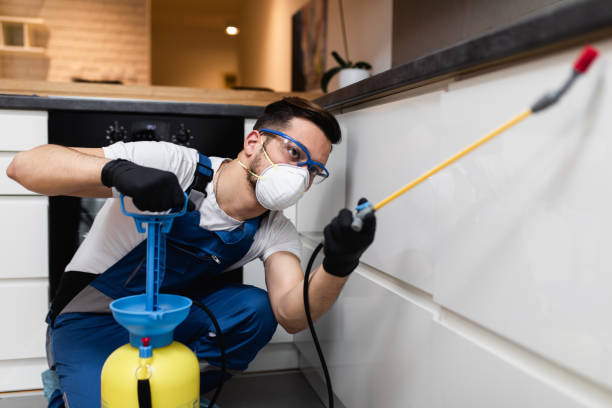 Best Pest Removal Services  in Sheldon, IA
