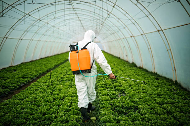 Professional Pest Control in Sheldon, IA