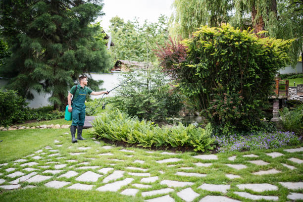 Best Pest Control Near Me  in Sheldon, IA