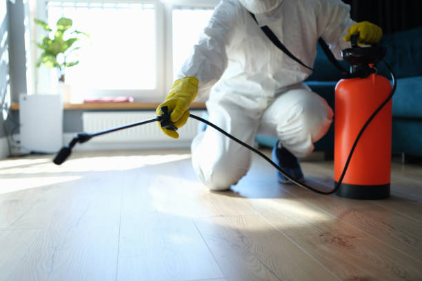 Flea Control Services in Sheldon, IA