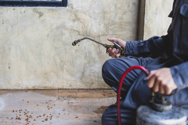 Best Best Pest Control Companies  in Sheldon, IA